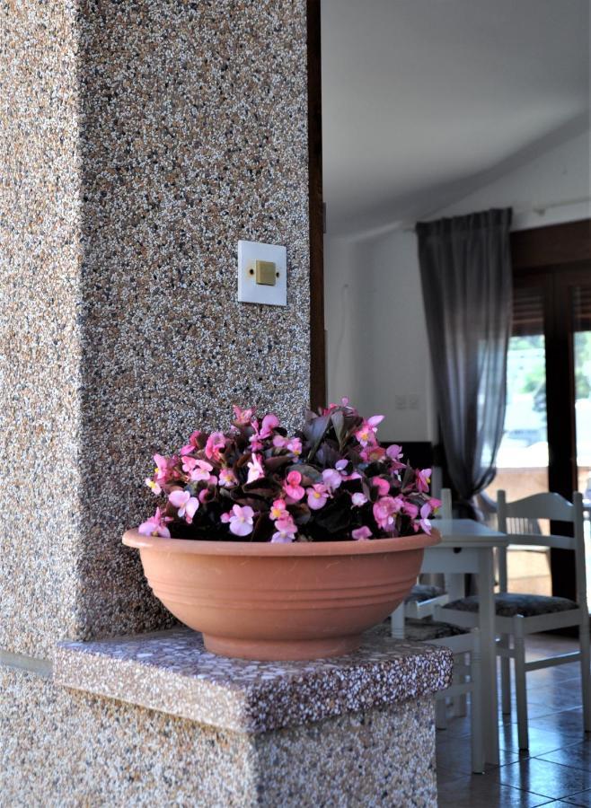 Romantic Boxavia Božava Exteriér fotografie